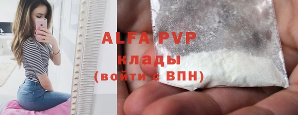 стаф Бородино