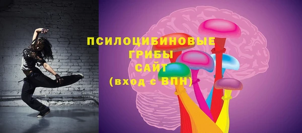 стаф Бородино