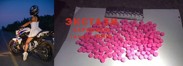 стаф Бородино