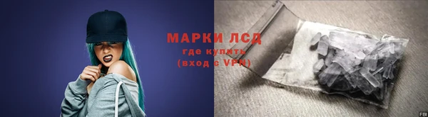 стаф Бородино