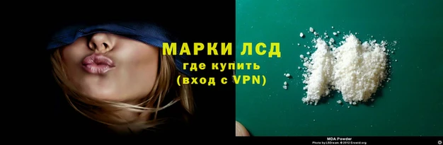 стаф Бородино