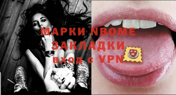 стаф Бородино