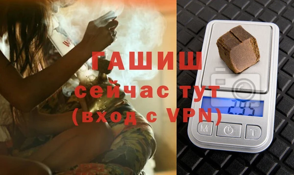 стаф Бородино
