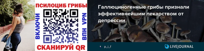 где купить   Юрга  МЕГА как войти  Псилоцибиновые грибы мицелий 